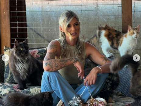 Com um compromisso inabalável com a saúde, bem-estar e desenvolvimento dos seus gatos, o Gatil Paradise Coon adota práticas éticas e cuidadosas em todas as etapas do manejo. Cada gato recebe atenção individualizada, garantindo que sejam socializados em um ambiente amoroso e saudável, preparado para integrar-se a novas famílias com equilíbrio e confiança.
